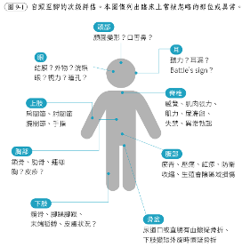 試驗納入流程圖